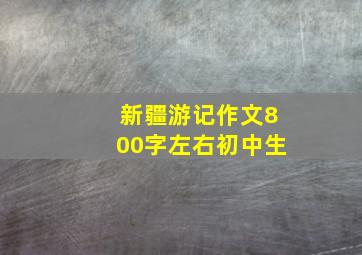 新疆游记作文800字左右初中生