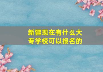 新疆现在有什么大专学校可以报名的