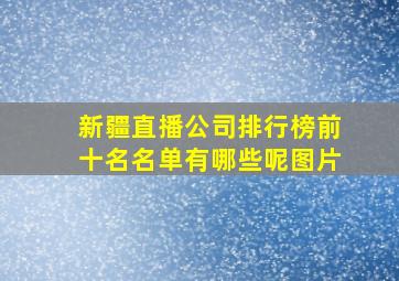 新疆直播公司排行榜前十名名单有哪些呢图片