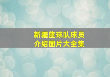 新疆篮球队球员介绍图片大全集