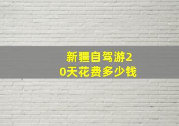 新疆自驾游20天花费多少钱