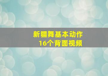 新疆舞基本动作16个背面视频