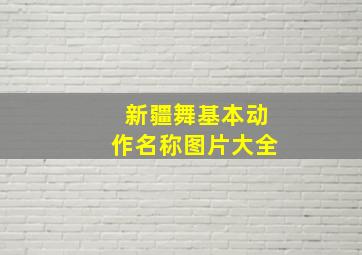 新疆舞基本动作名称图片大全