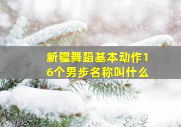 新疆舞蹈基本动作16个男步名称叫什么