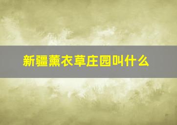 新疆薰衣草庄园叫什么