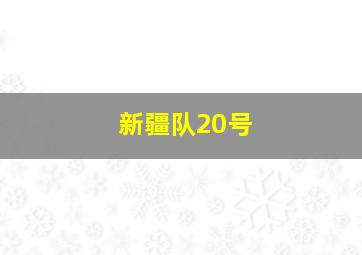 新疆队20号