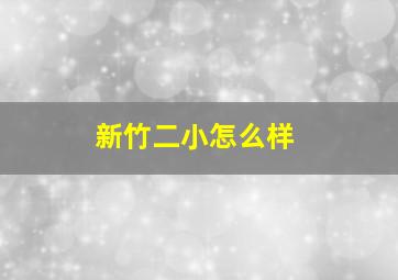 新竹二小怎么样