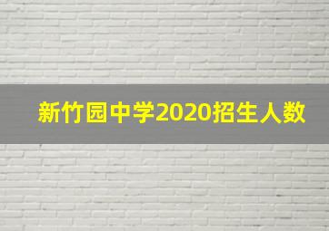 新竹园中学2020招生人数