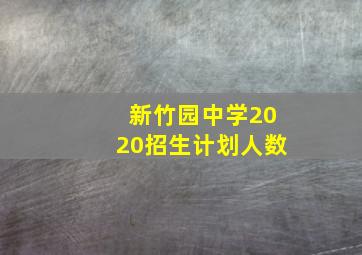 新竹园中学2020招生计划人数