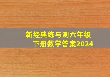 新经典练与测六年级下册数学答案2024