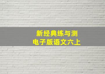 新经典练与测电子版语文六上