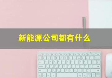 新能源公司都有什么