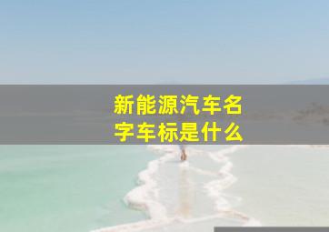 新能源汽车名字车标是什么