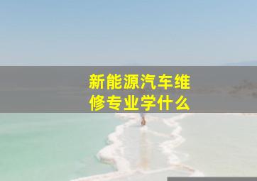 新能源汽车维修专业学什么