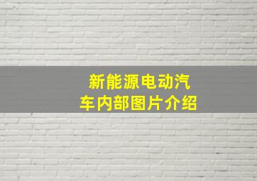 新能源电动汽车内部图片介绍