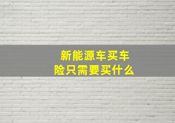 新能源车买车险只需要买什么