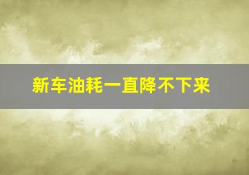 新车油耗一直降不下来