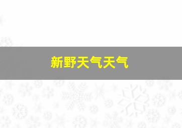 新野天气天气