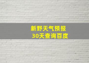 新野天气预报30天查询百度