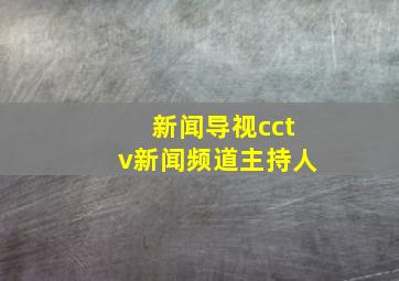 新闻导视cctv新闻频道主持人