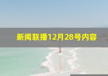 新闻联播12月28号内容