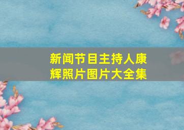 新闻节目主持人康辉照片图片大全集