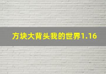 方块大背头我的世界1.16