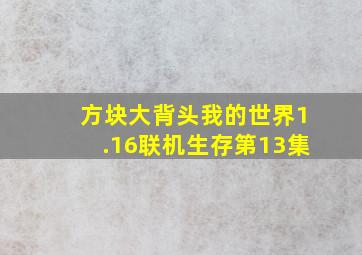 方块大背头我的世界1.16联机生存第13集