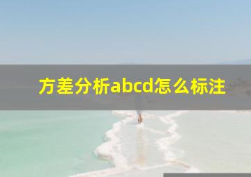 方差分析abcd怎么标注