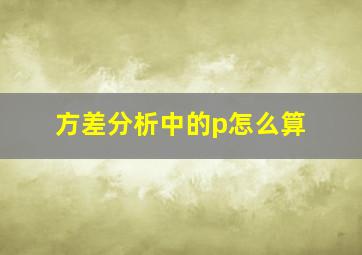 方差分析中的p怎么算