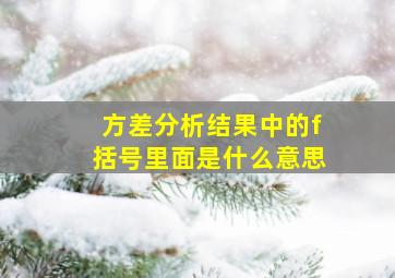 方差分析结果中的f括号里面是什么意思