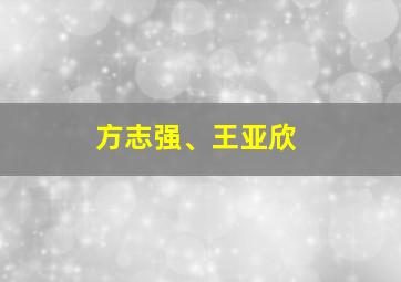 方志强、王亚欣