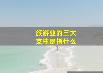 旅游业的三大支柱是指什么