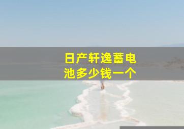 日产轩逸蓄电池多少钱一个