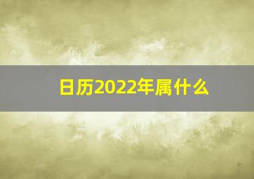 日历2022年属什么