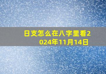 日支怎么在八字里看2024年11月14日