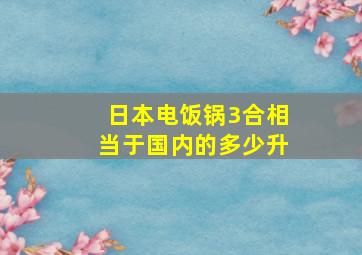 日本电饭锅3合相当于国内的多少升