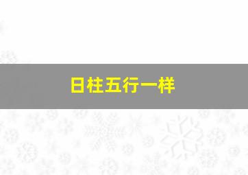 日柱五行一样