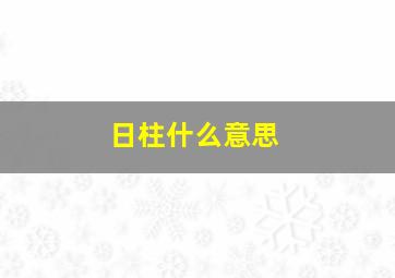 日柱什么意思