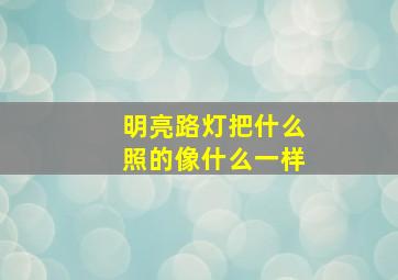 明亮路灯把什么照的像什么一样