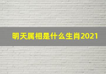 明天属相是什么生肖2021