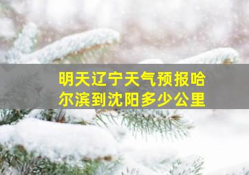 明天辽宁天气预报哈尔滨到沈阳多少公里