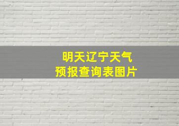 明天辽宁天气预报查询表图片