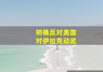 明确反对美国对伊拉克动武