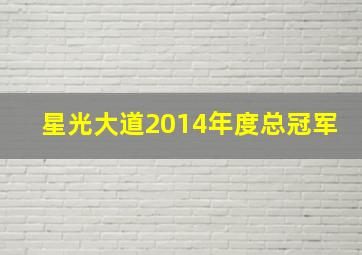 星光大道2014年度总冠军