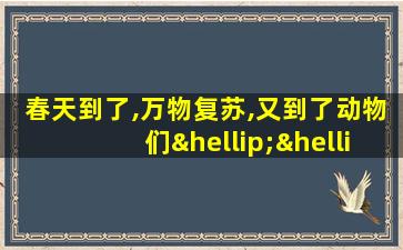 春天到了,万物复苏,又到了动物们……季节!