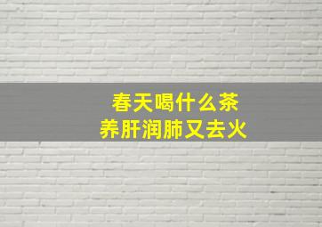 春天喝什么茶养肝润肺又去火