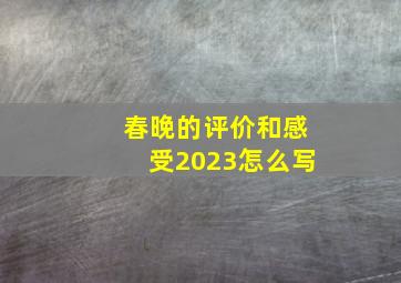 春晚的评价和感受2023怎么写