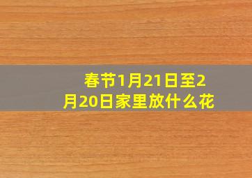 春节1月21日至2月20日家里放什么花