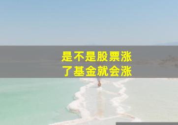 是不是股票涨了基金就会涨